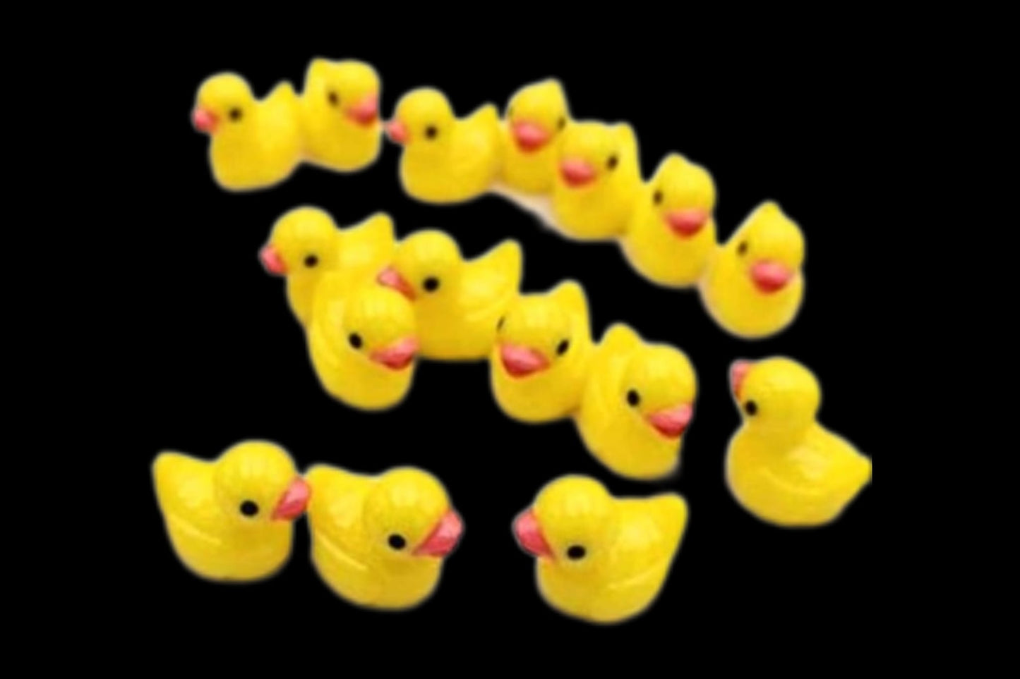 Coverminder Ente