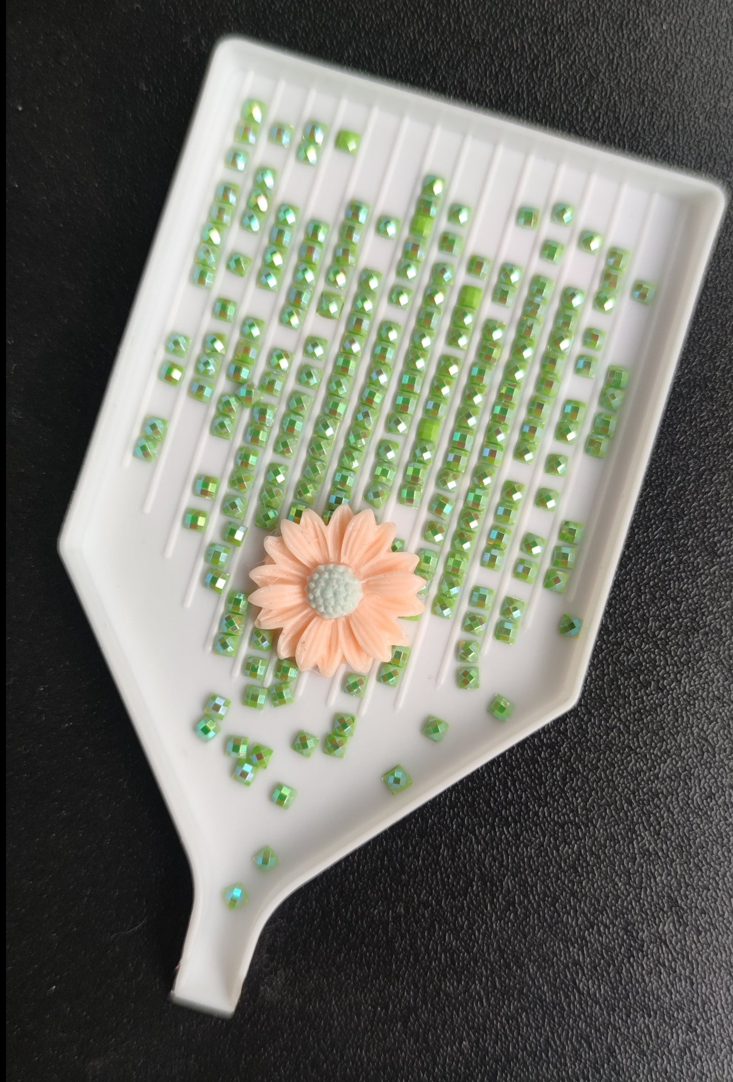 Coverminder Blumen
